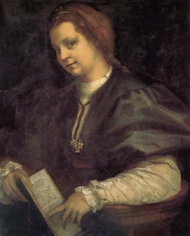 Andrea del Sarto Take the book portrait of woman Germany oil painting art